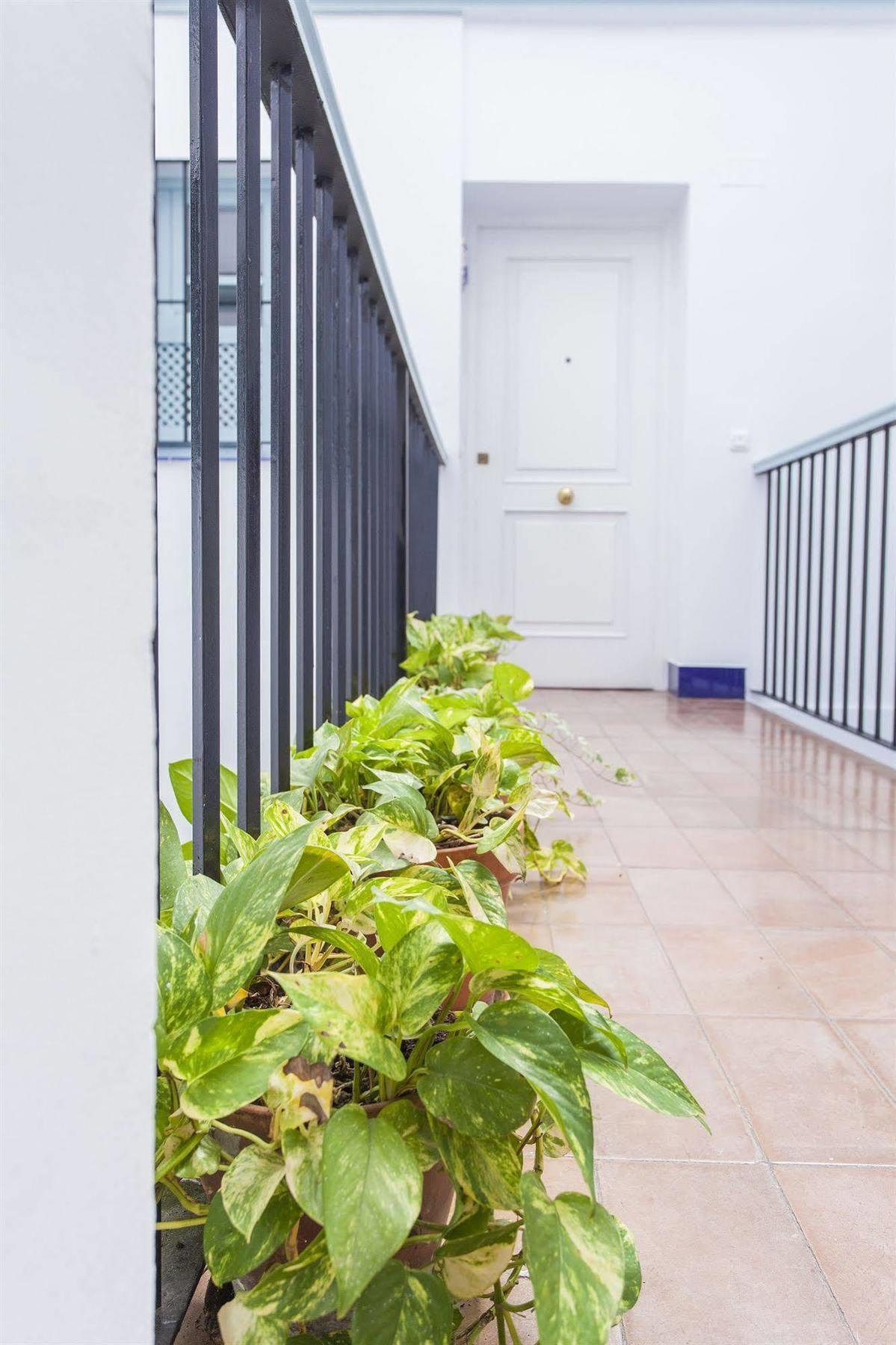 Santa Cruz Appartement Sevilla